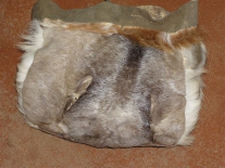 Женская эвенкийская сумочка из шкуры оленя