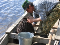 Рыбалка: проверка мордушки