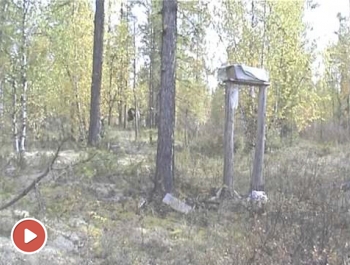 Embedded thumbnail for Кладбище Суринды, видео №2